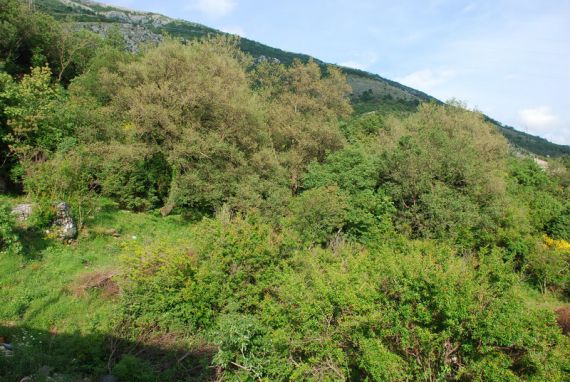 Земля в Сутоморе, Черногория, 628 м2 - фото 1