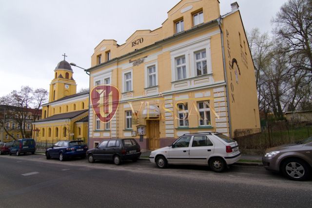 Отель, гостиница Франтишковы Лазни, Чехия, 590 м² - фото 1