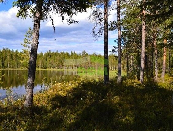 Земля в Миккели, Финляндия, 10 000 м2 - фото 1