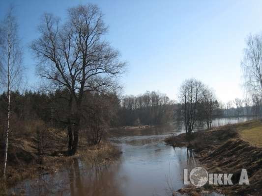 Земля в Рижском крае, Латвия, 7 868 м2 - фото 1