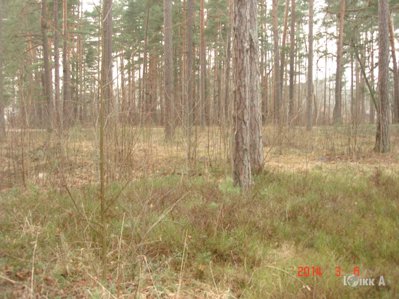 Земля в Юрмале, Латвия, 2 228 м2 - фото 1