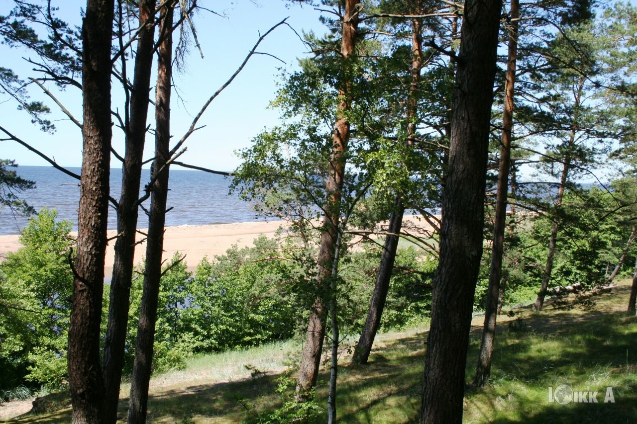 Земля в Рижском крае, Латвия, 9 679 м2 - фото 1