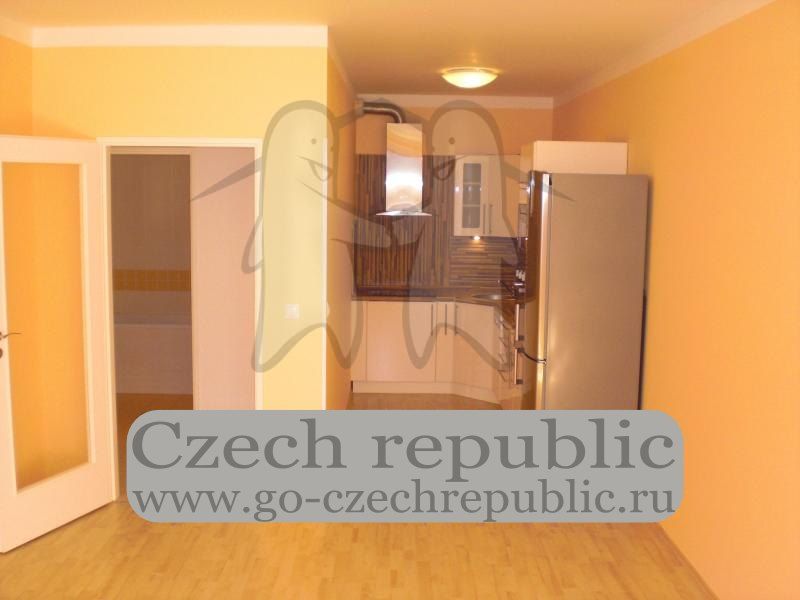 Квартира в Праге, Чехия, 50 м2 - фото 1
