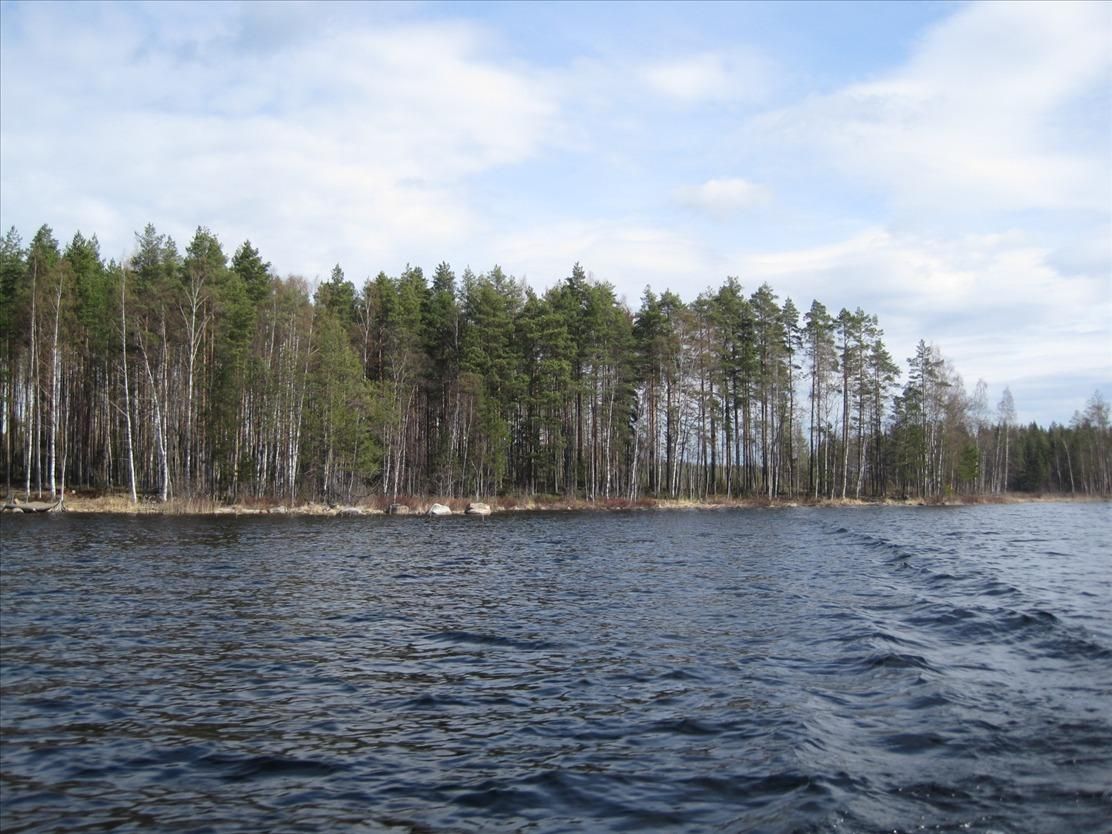 Земля в Руоколахти, Финляндия, 5 892 сот. - фото 1