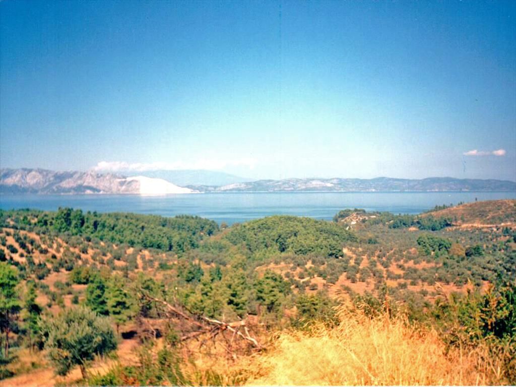 Земля на Скиатосе, Греция, 950 м2 - фото 1