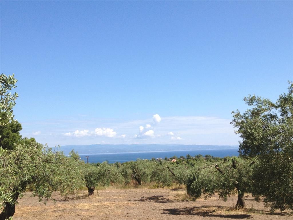 Земля в Ситонии, Греция, 12 100 м2 - фото 1