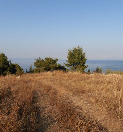 Земля в номе Ханья, Греция, 15 580 м2 - фото 1