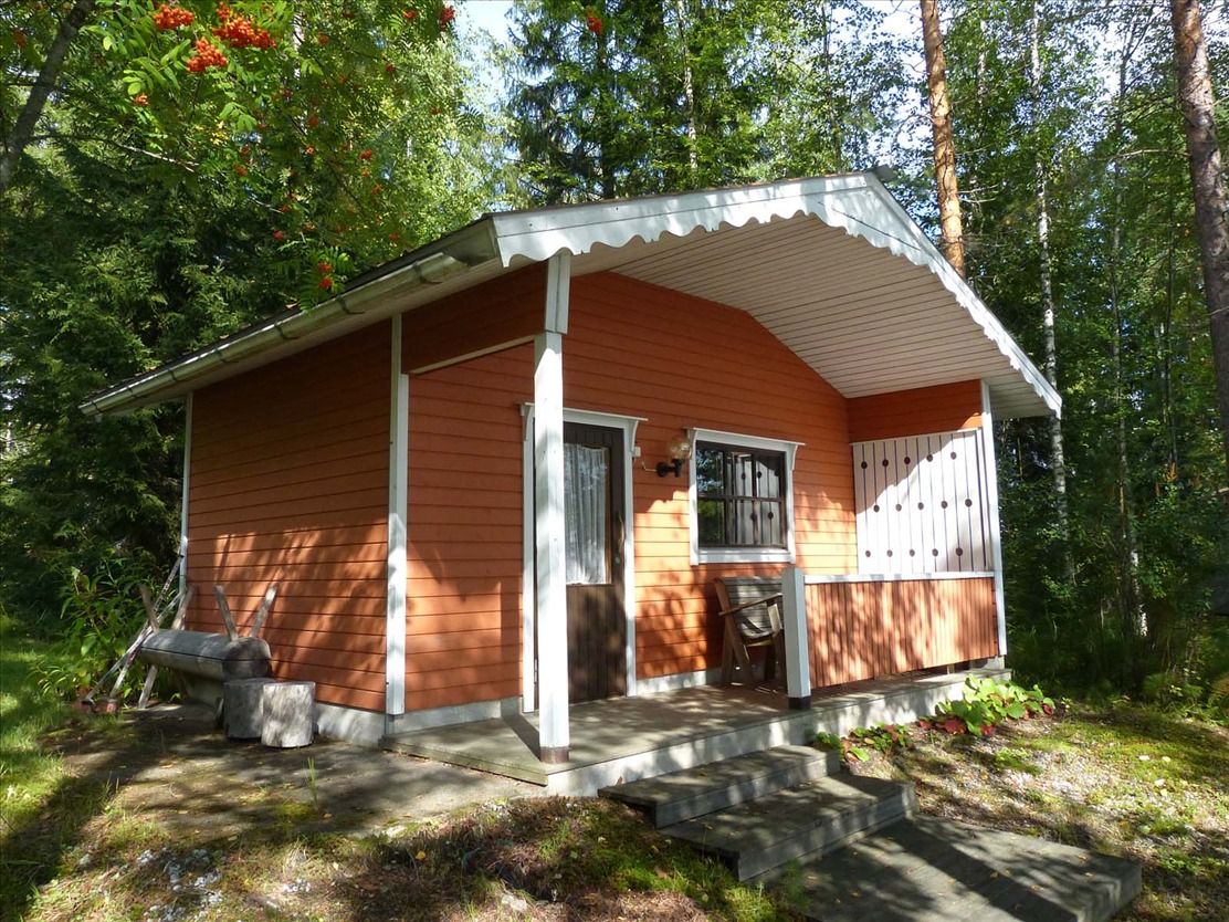 Дом в Конневеси, Финляндия, 60 м2 - фото 1