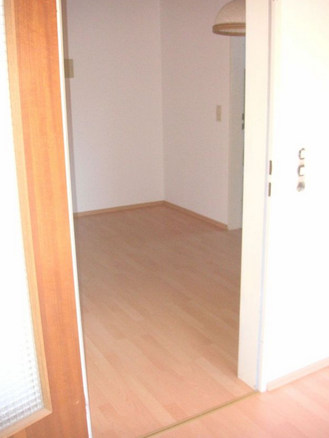 Квартира в Баден-Бадене, Германия, 42 м2 - фото 1