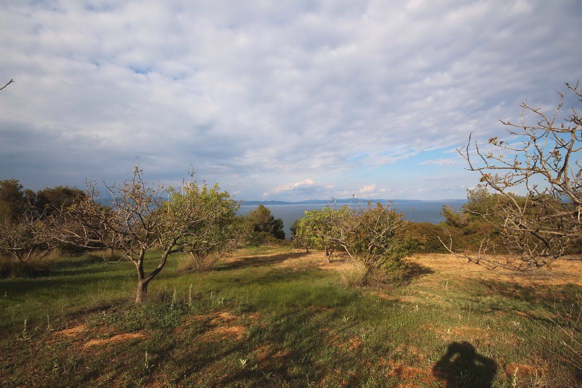 Земля на Кассандре, Греция, 5 000 м2 - фото 1