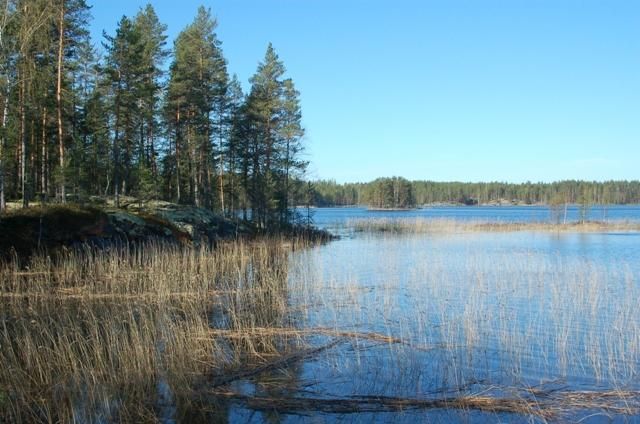 Земля в Руоколахти, Финляндия, 3 380 м2 - фото 1