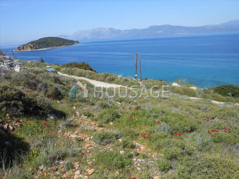 Земля на Эвбее, Греция, 7 802 м2 - фото 1