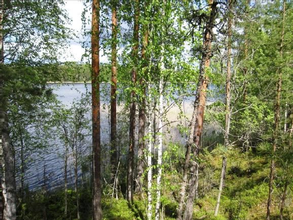 Земля в Юва, Финляндия, 7 000 м2 - фото 1