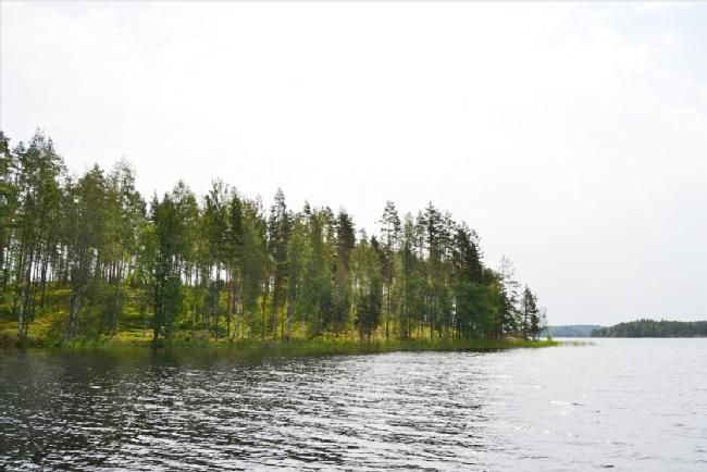 Земля в Миккели, Финляндия, 7 980 м2 - фото 1