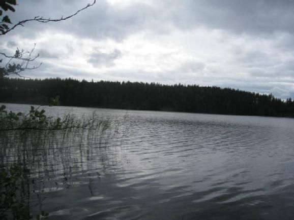 Земля в Миккели, Финляндия, 4 125 м2 - фото 1
