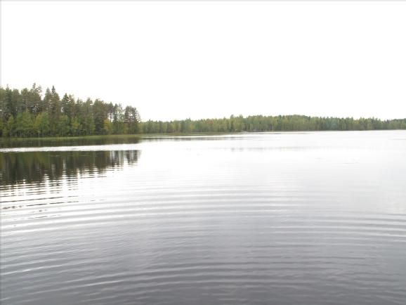 Земля в Юва, Финляндия, 10 000 м2 - фото 1