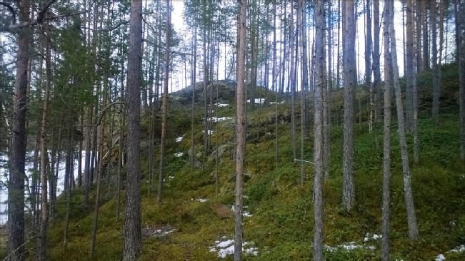 Земля в Рантасалми, Финляндия, 6 570 м2 - фото 1