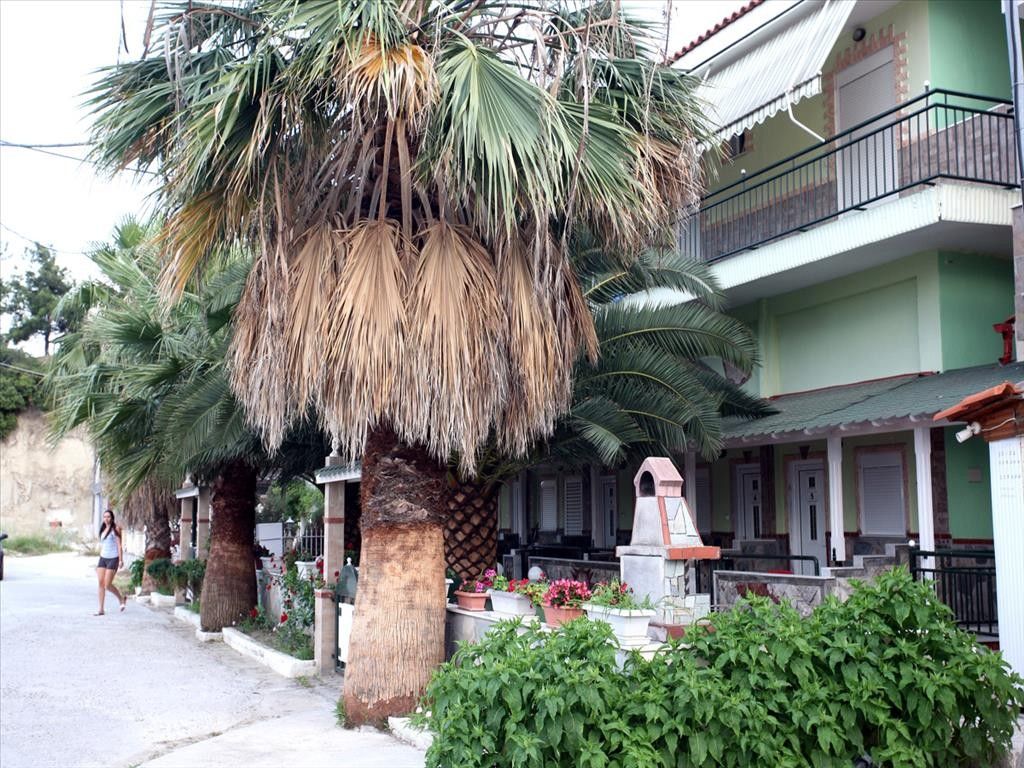 Отель, гостиница Халкидики-Кассандра, Греция, 500 м2 - фото 1