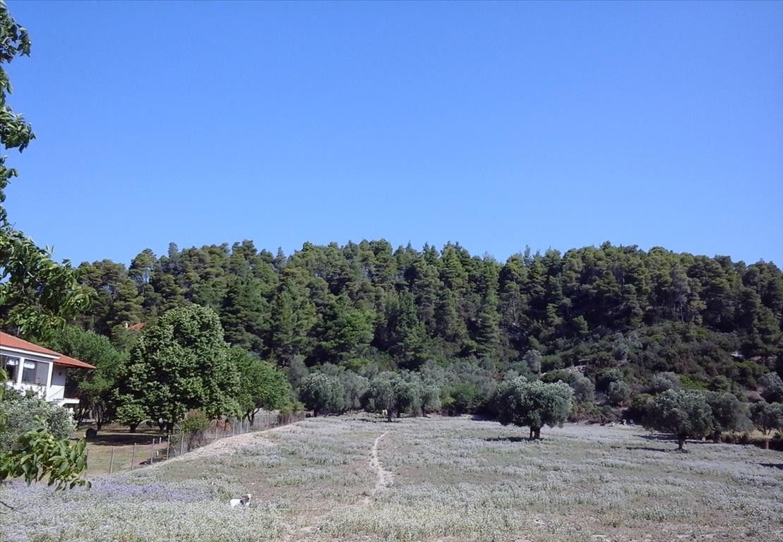 Земля Халкидики-Кассандра, Греция, 2 600 сот. - фото 1
