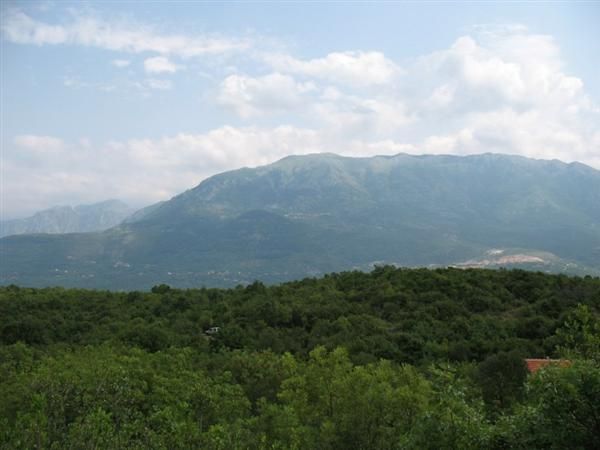 Земля на полуострове Луштица, Черногория, 12 342 м2 - фото 1