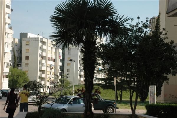 Квартира в Баре, Черногория, 64 м2 - фото 1