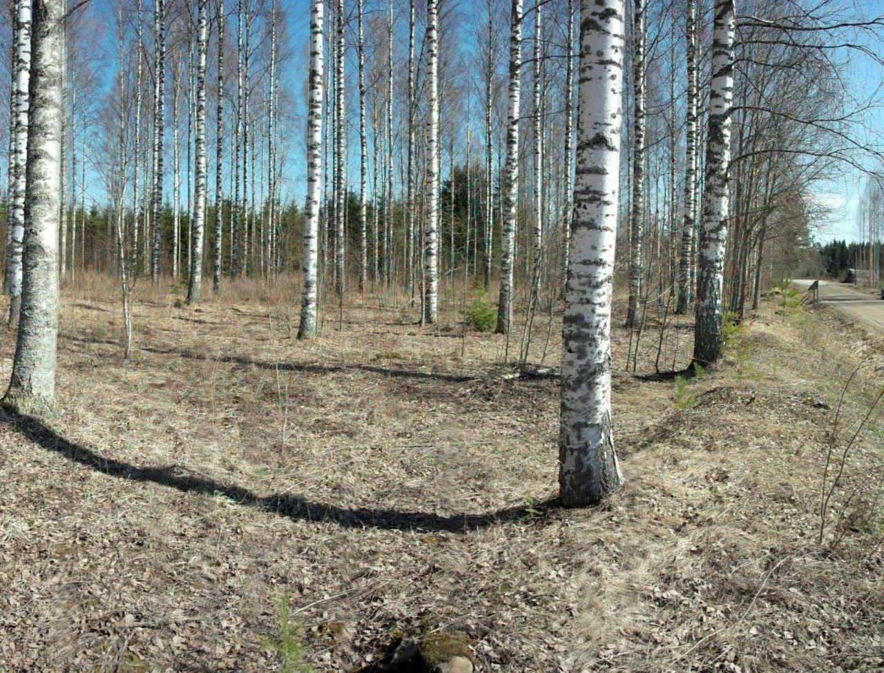 Земля в Савонлинне, Финляндия, 7 036 сот. - фото 1