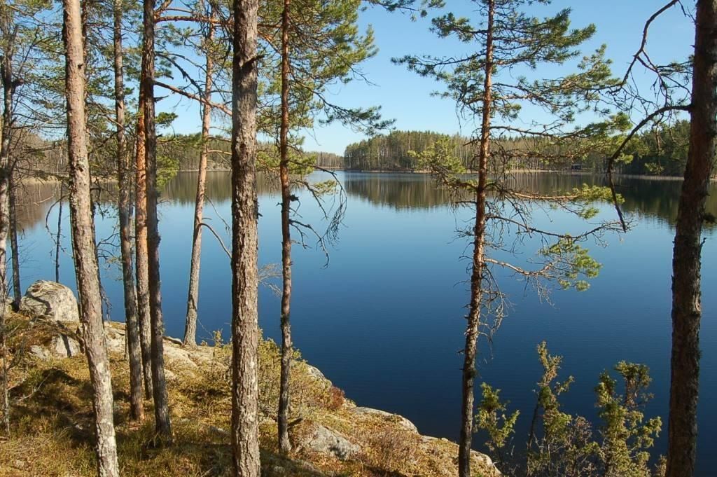 Коттедж в Миккели, Финляндия, 46 м2 - фото 1