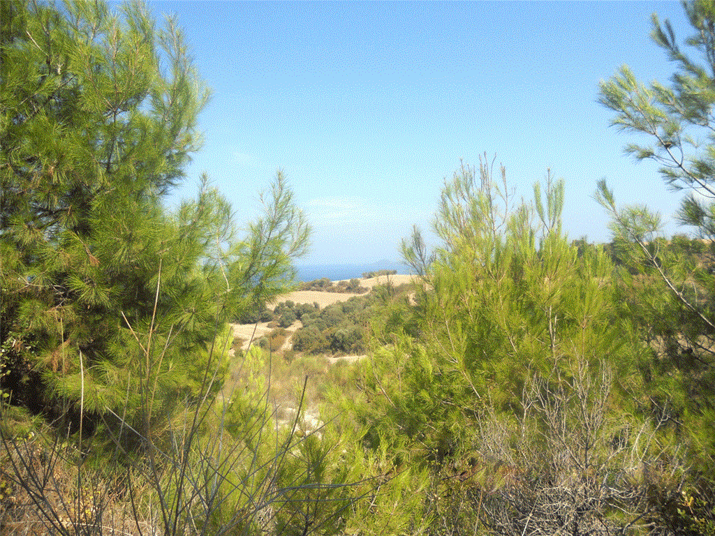 Земля Халкидики-Афон, Греция, 4 000 сот. - фото 1