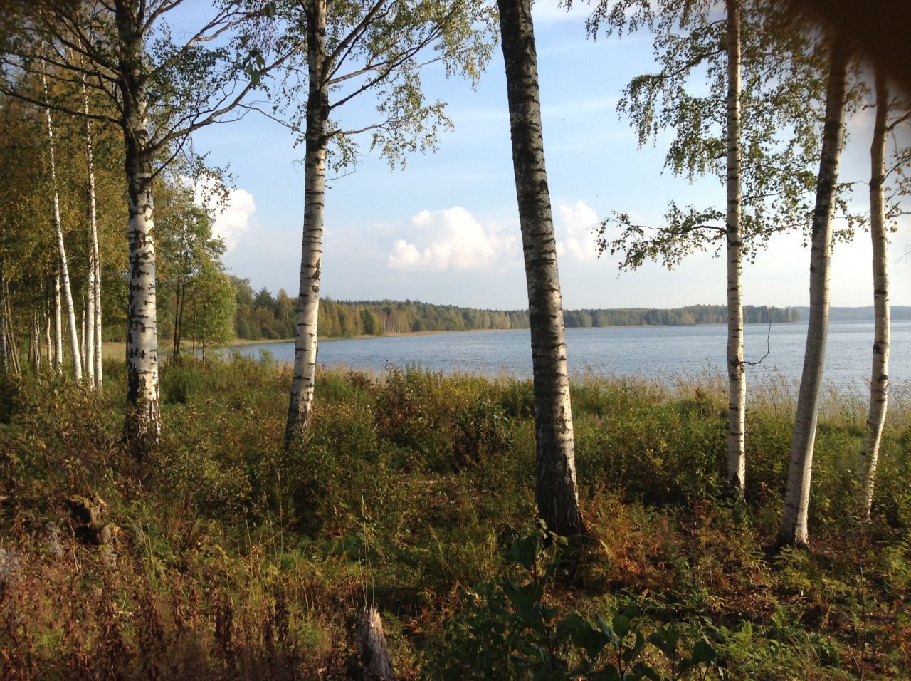Земля в Симпеле, Финляндия, 9 100 м2 - фото 1