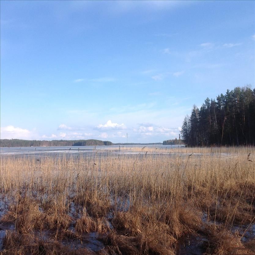 Земля в Керимяки, Финляндия, 5 000 м2 - фото 1
