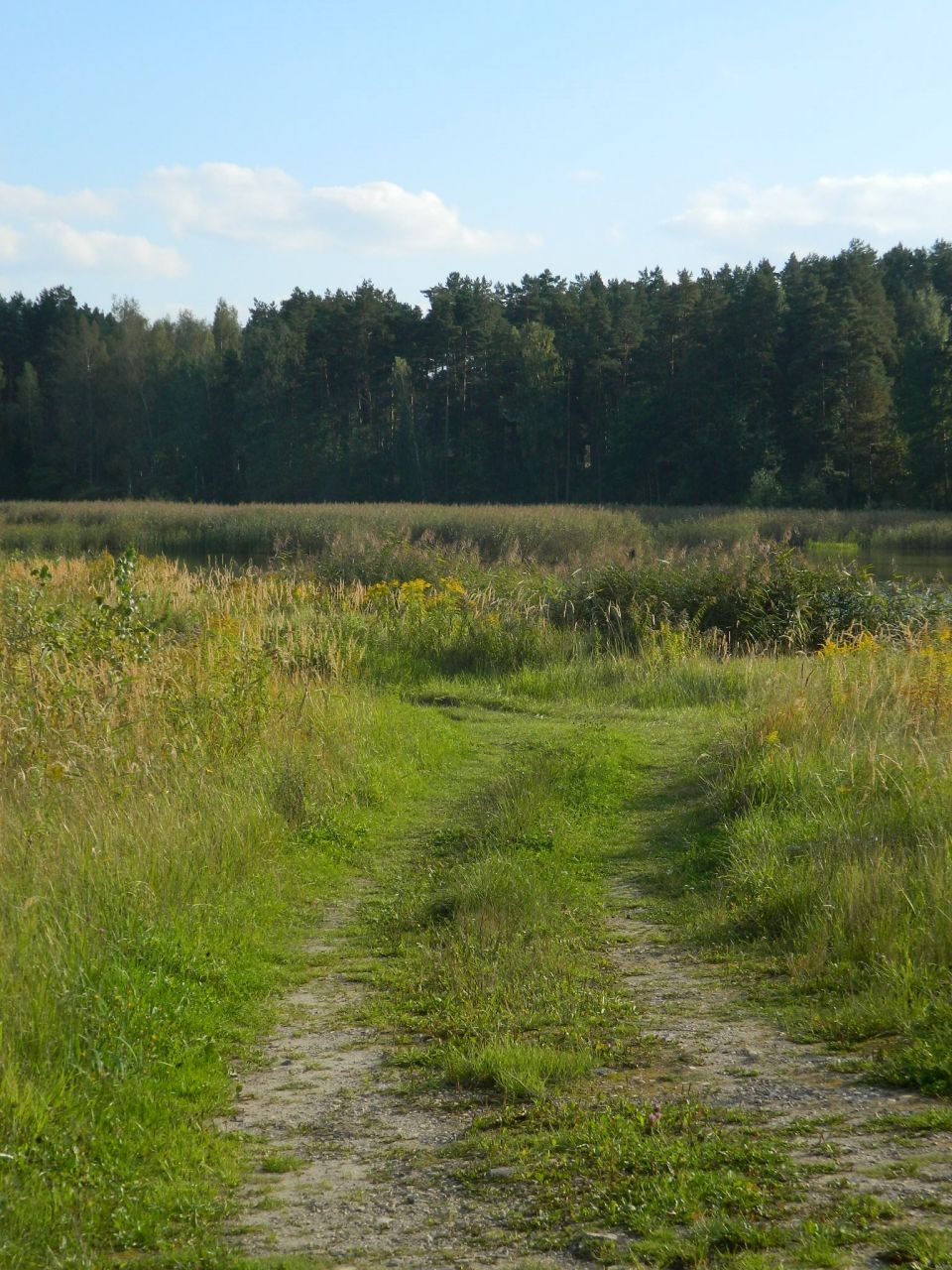 Земля Sunīši, Латвия, 1 300 м2 - фото 1