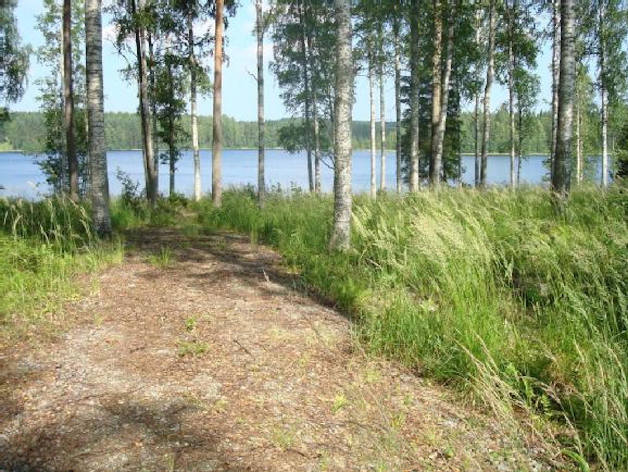 Земля в Савонранта, Финляндия, 5 200 м2 - фото 1