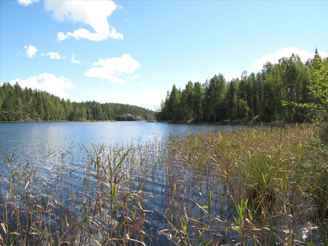 Земля в Рюхала, Финляндия, 165 250 м2 - фото 1