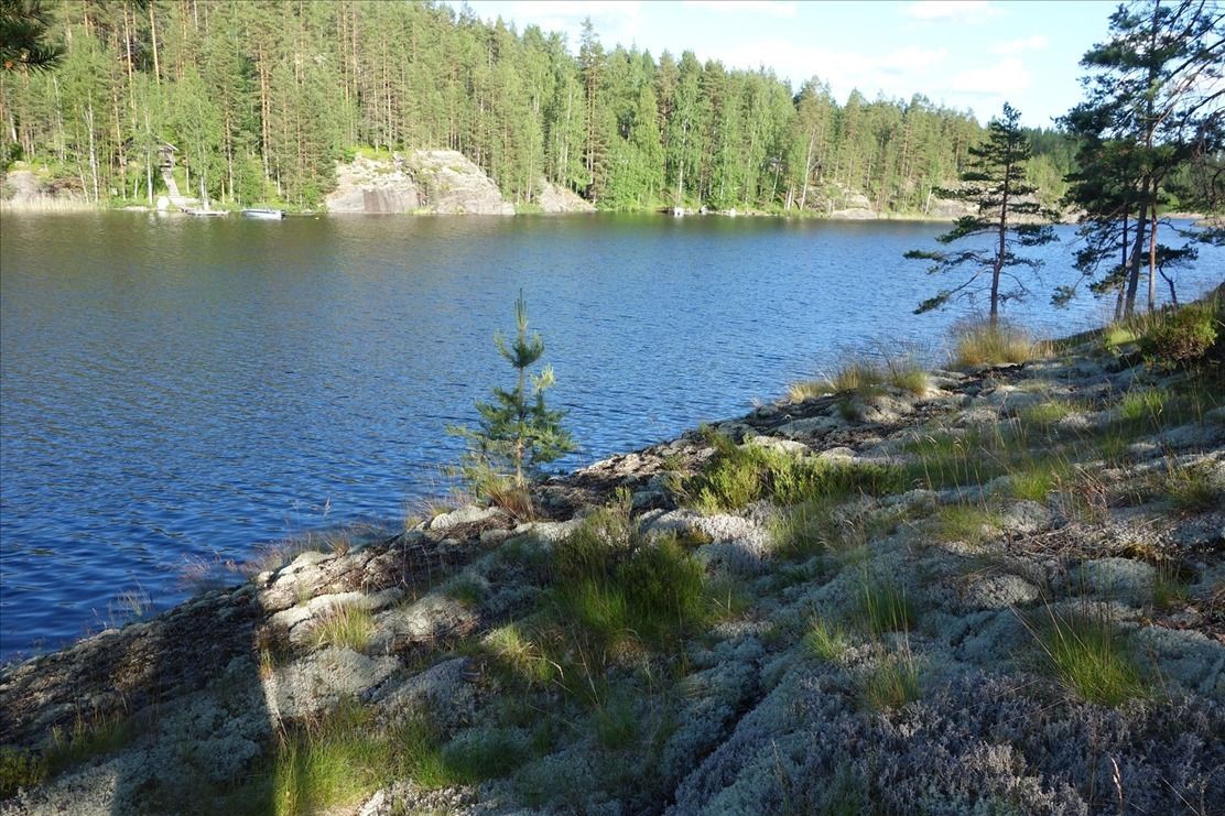 Земля в Миккели, Финляндия, 5 000 м2 - фото 1