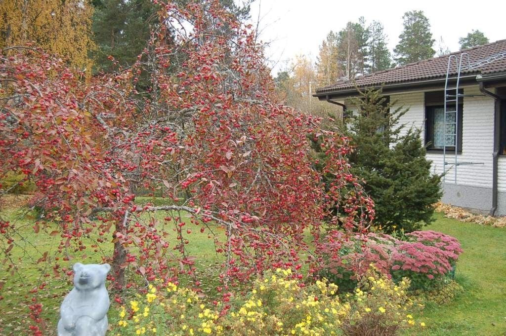 Дом в Миккели, Финляндия, 272 м2 - фото 1