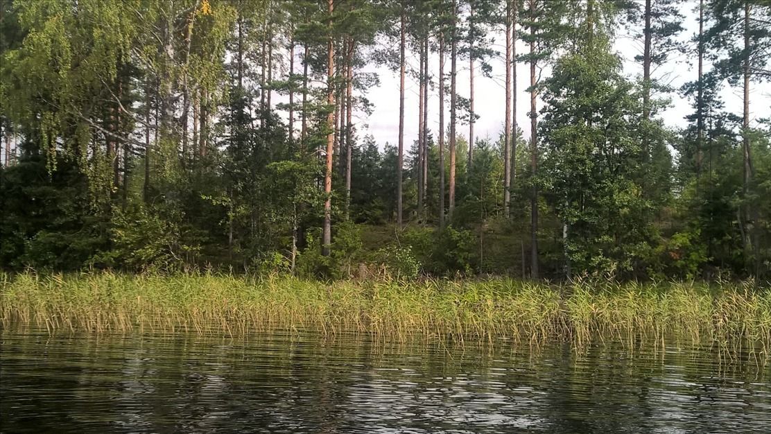 Земля в Пиексямяки, Финляндия, 5 500 м2 - фото 1