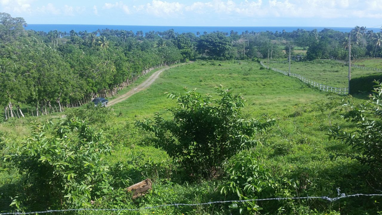 Земля в Гаспар Эрнандес, Доминиканская Республика, 4 629 м2 - фото 1