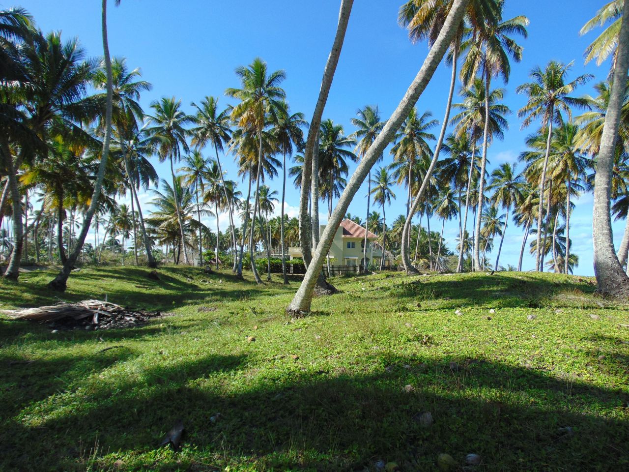 Земля в Кабарете, Доминиканская Республика, 18 900 м2 - фото 1