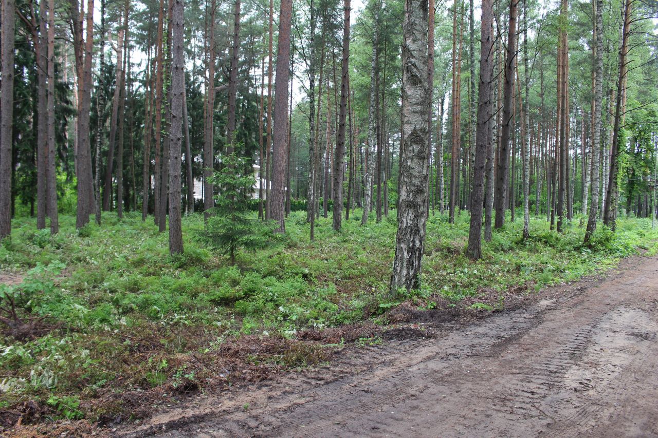 Земля в Юрмале, Латвия, 1 749 м2 - фото 1