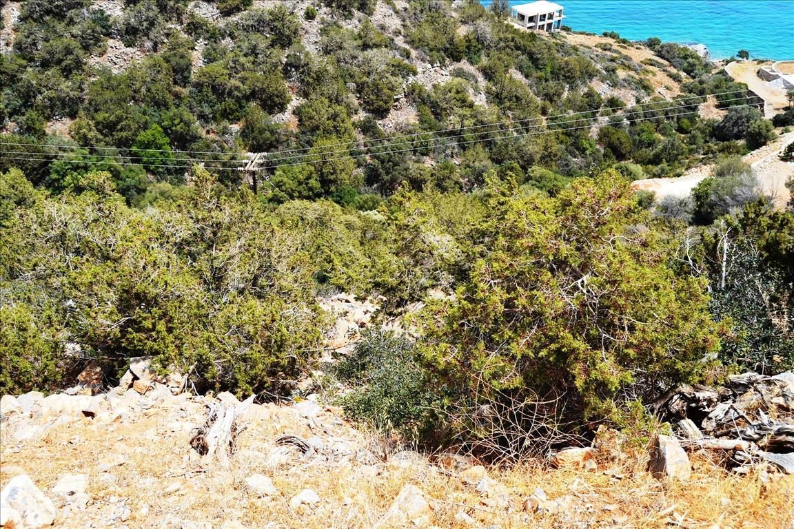 Земля в Иерапетре, Греция, 3 800 м2 - фото 1