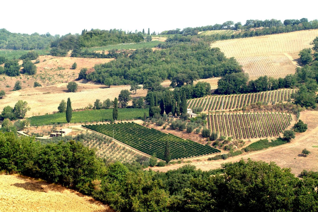 Ферма в Монтальчино, Италия, 260 м2 - фото 1