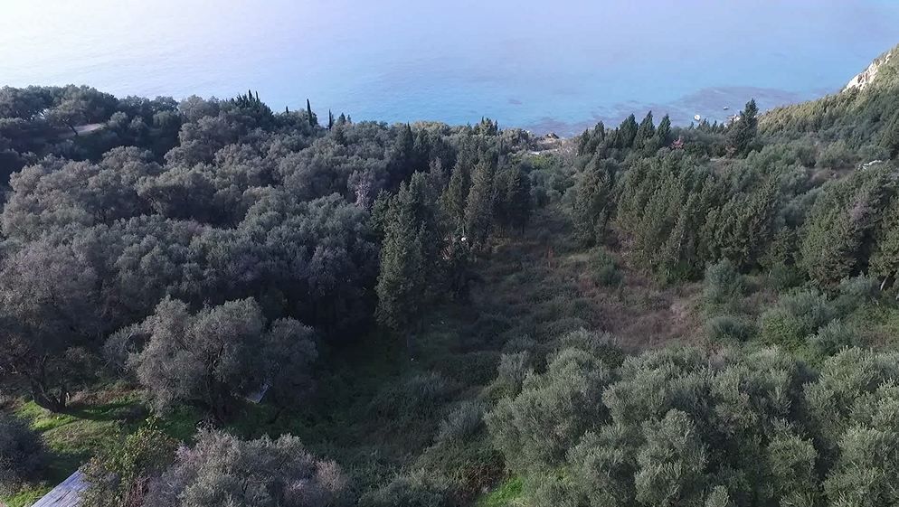 Земля на Корфу, Греция, 7 441 м2 - фото 1