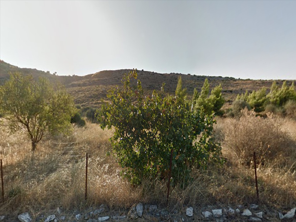 Земля в Айос-Стефаносе, Греция, 950 м2 - фото 1