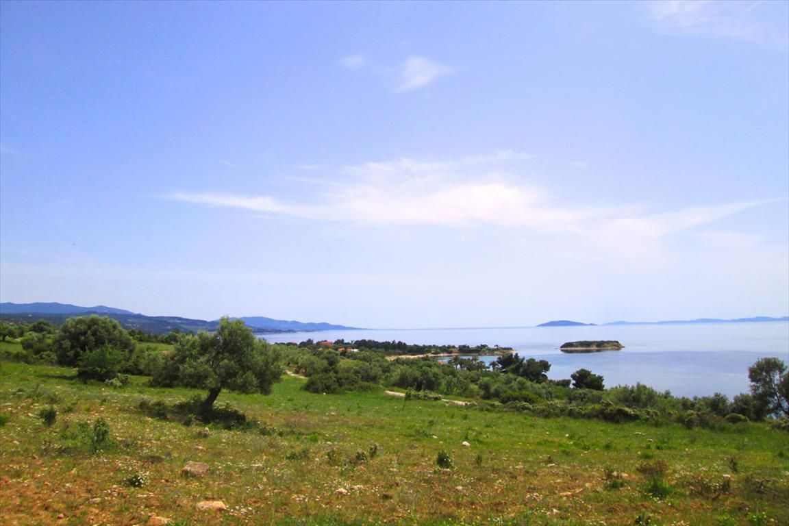 Земля в Ситонии, Греция, 4 856 м2 - фото 1