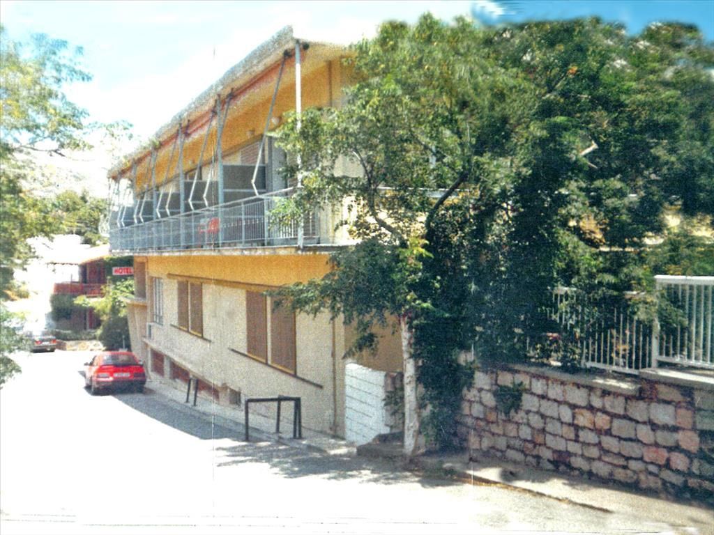 Коммерческая недвижимость в Виотии, Греция, 964 м2 - фото 1