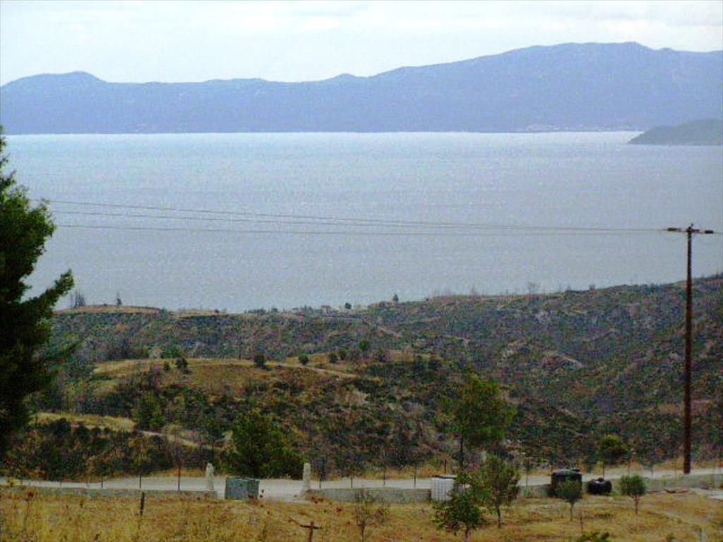 Земля на Кассандре, Греция, 15 000 м2 - фото 1