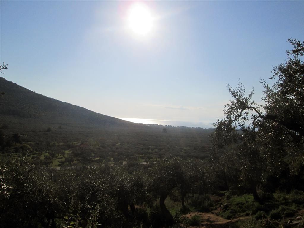 Земля на Тасосе, Греция, 5 365 м2 - фото 1