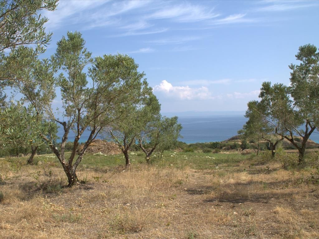 Земля в номе Ханья, Греция, 4 040 м2 - фото 1