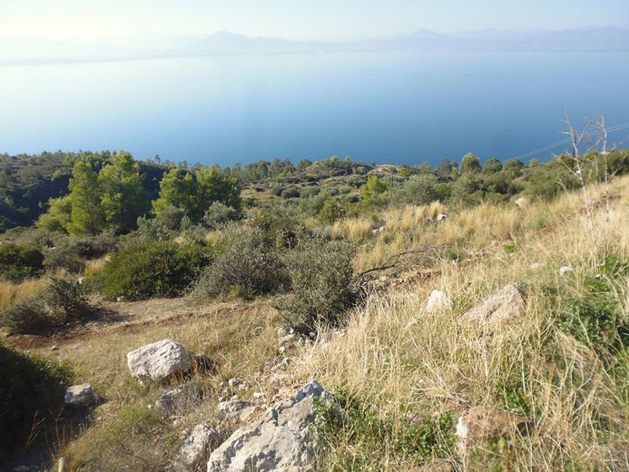 Земля в Коринфии, Греция, 5 423 м2 - фото 1