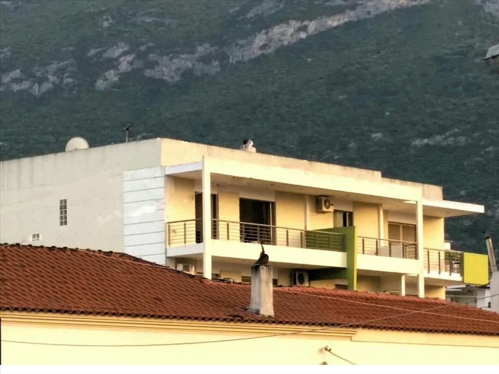 Квартира в Амалиаполи, Греция, 74 м2 - фото 1
